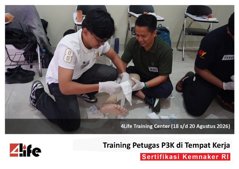 P3KBGRAGS_4
